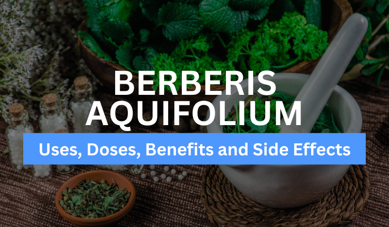 Berberis Aquifolium Q Uses Benefits Shree Homoeo Center